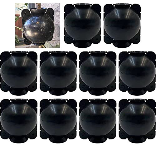 Dinntty 10 pièces Dispositif d'enracinement des Plantes Boule Plante greffage Coupe Dispositif d'enracinement Boule de Propagation à Haute Pression pour Plantes Arbres fruitiers