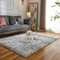 Evitany Area Rugs, High Pile Fluffy Bedroom Rug, Ultra Soft Shaggy Carpet, Non Slip Rugs Living Room,Washable Carpet for Dining Room (Light Grey,120x160 cm)