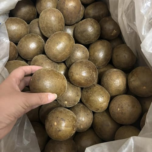20 piezas Semillas de Siraitia Grosvenorii jardín de árboles frutales planta en maceta de árboles frutales enanos semillas de fruta fresca semillas de frutas plantas en macetas resistentes