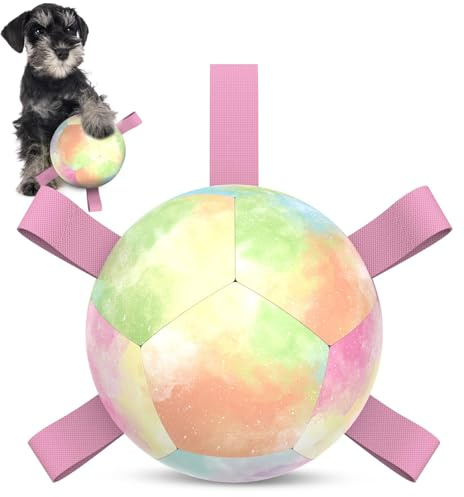HETOO Dog Balls Dog Football Toys Dog Toy Ball (5 Inch Small Pink) | Durable high bounce floating dog balls, dog water toys, interactive dog ball indoor outdoor play, ideal dog birthday gifts