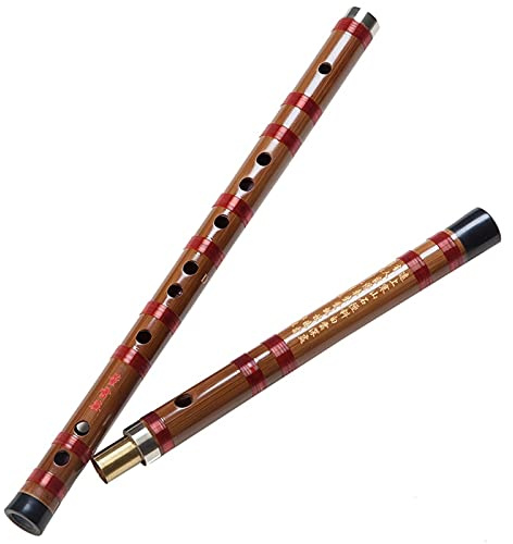 HTian Professionell bambuflöjt nybörjare spelflöjt kinesisk musikalisk Dizi klarinett undersökning nivå flöjt G/F/E/D/C tune (färg: D)