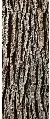 Corteccia d'albero artificiale, Corteccia d'albero realistica per decorazioni artigianali, pilastri, tubi, Aspetto di simulazione tagliabile per colonne, pareti, pavimenti, decorazioni, 1*0, 4 m
