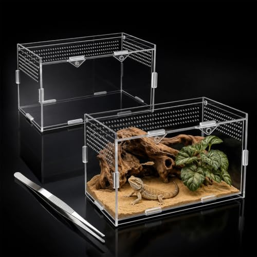 Terrario Reptiles Acrílica, Transparente con Orificios Pinzas 20x12x12cm