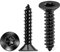 100 Pezzi Ø 4 x 30 mm Nero TORX Vite universale, Autofilettante a Testa Piana Svasata in Acciaio inox A2, Vite per legno Coda a punta, Include Driver T20 - TPOHH