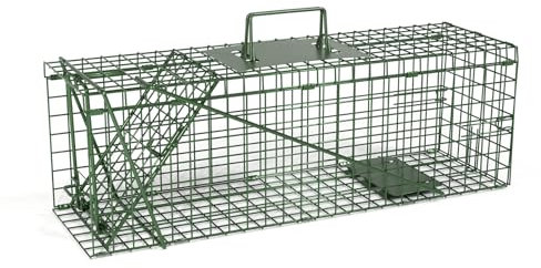 Qianruida Gabbia Trappola per Vivi 61 x 19 x 20 cm Trappola Grandi Interno/Esterno