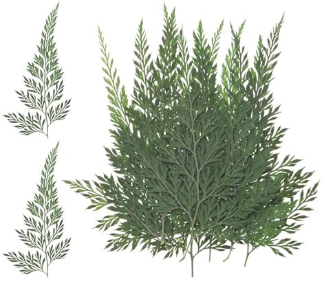 M METERXITY 12-Pack Pressed Dried Flowers Leaves, Real Natural Ferns Dried Leaves, Plant Dried Greenery for Resin Art Arrangements Home Wedding DIY Crafts Decors Card Scrapbooking