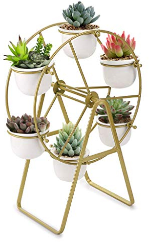 Sumnacon Pflanzenständer in Riesenradform für Sukkulenten, inklusive Keramik-Pflanztöpfe, tolles Display, Mini-Blumenständer mit Töpfen (Pflanzen sind nicht im Lieferumfang enthalten), golden