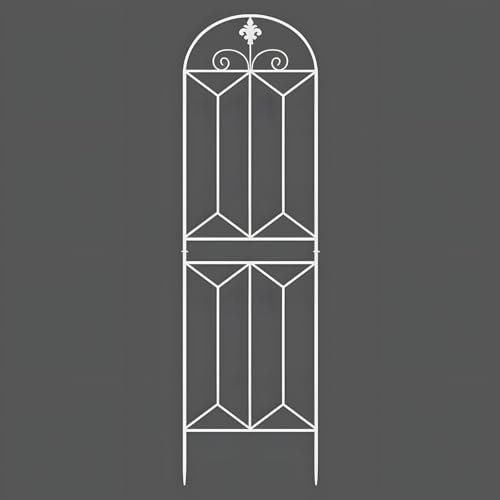 QMIYCLRJ Étagère à grilles for Escalade de lianes, Meuble en Fer forgé for Fleurs, Support for Clematis, Rose, et Rosier, for Balcon intérieur, Jardin, Cour, et clôture(50 * 200cm(19.7 * 78.7in))