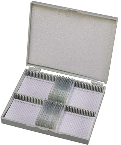 Bresser Mikroskop Dauerpräparate 25 Stück in Kunststoffbox, Lernpräparate aus der Biologie