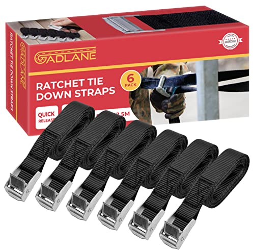 GADLANE 6 Ratchet Straps Tie Down Roof Rack Straps Lashing Tension Belts With Quick Release Cam Buckle For Motorbike Car Luggage Capacity 125Kg - 2.5cm x 2.5M - Set of 6