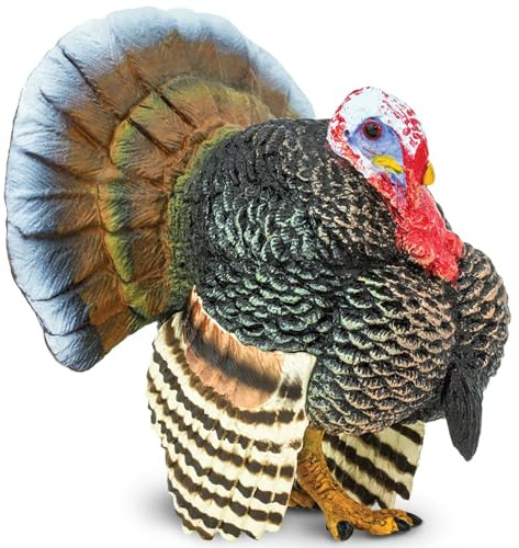 Safari S242929 Turkey