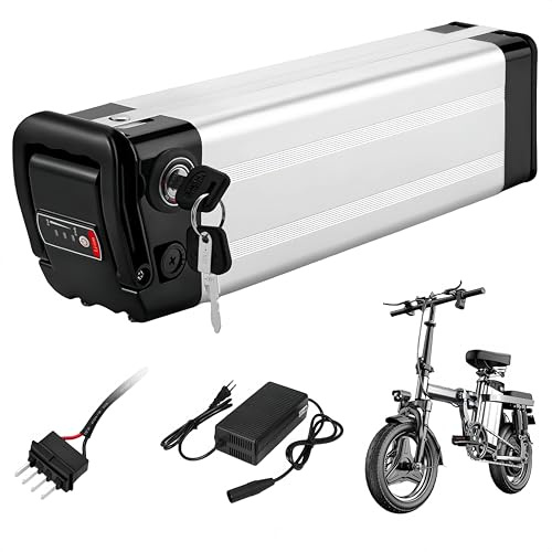 X-go Ebike Batería, 36V 15AH batería de Bicicleta eléctrica e-Bike batería de Litio de 2 Puertos con Cargador, Cierre Seguro, luz indicadora led para 350W 250W 100W Motor (36V 15AH 2 Port)