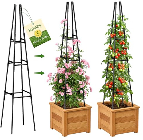 2 Pack Garden Obelisk Trellis for Climbing Plants Outdoor Indoor Pots, Plant Trellis for Climbing Plant Support for Climbing Plants Garden Trellis for Indoor Potted Plants, Vines, Climbing Rose