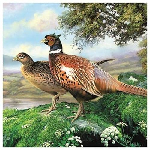 20 Servietten Fasane in der Natur | Tischdeko | Decoupage | Serviettentechnik 33x33cm