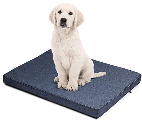 BOUTIQUE ZOO Hundematratze für Hunde | XL: 120 x 100 x 6 cm | Hundesofa Hundekissen Hundematte für groß und klein | Codurastoff | Elegant | Waschbar | Farbe: Blau