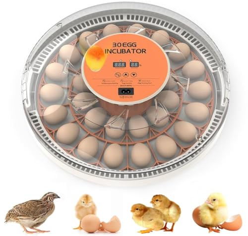 30 Egg Automatisk inkubator, digital termostat, Auto Egg Turner och inbyggd Candler, Multi-Art-bricka för kyckling/anka/gås/vaktelägg