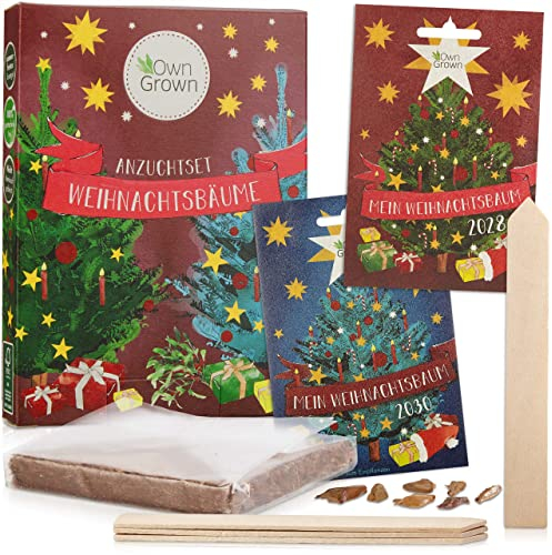 Saatgut Geschenk Set: Premium Saatgut Set zum Tannenbaum Pflanzen mit Blaufichte Saatgut und Nordmanntanne Saatgut – Kleinigkeiten – OwnGrown Tree