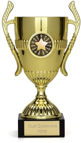 TROPHIESPLUSMEDALS Gold Merit Star Trophy Cup, 15cm