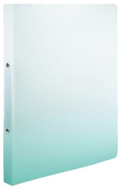 Idena 12112 – Classeur à anneaux A4 en plastique, classeur blanc et bleu pétrole, avec dos de 25 mm de largeur et mécanisme à 2 anneaux