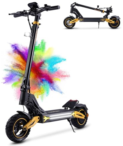 TWOFISH Electric Scooters Adult, 10/12 Off-Road Fast Electric Scooter with Dual Brake System 4 Shock Absorbers, 60-70km Range, 3 Speed Modes, LCD Display, 150Kg Load Capacity (10inch-Single Drive)