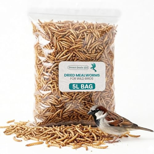 5L Mealworms for Wild Bird Food, Dried mealworms for garden birds Feed | Treat, Natural Energy Boost for Hamsters, Robins Sparrows Parrots Clean Outdoor Feeding Nutritious Bird Feed