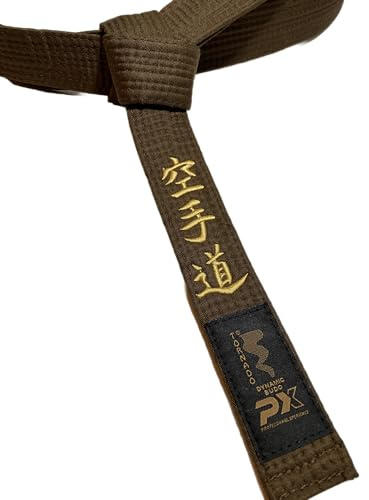 TEKKA BUDO Karategürtel braun - Bestickt - Karate Do - 300 cm - Schriftzeichen Bestickung Gold - Braungurt Kanji japanisch - Brauner Gürtel