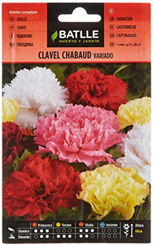 Semillas Batlle Garofano Chabaud VARIATO