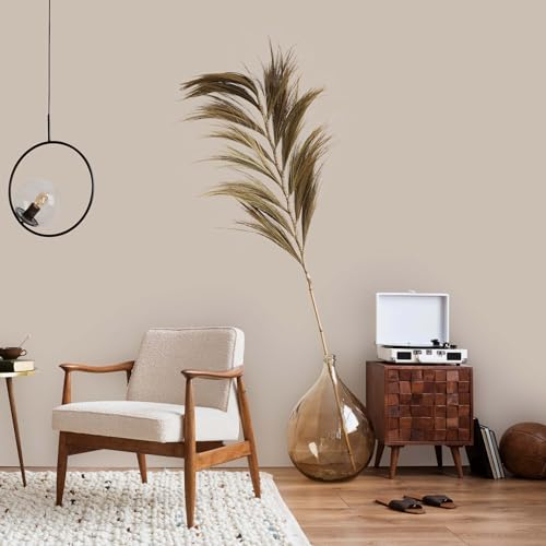 K&L Wall Art Pintura de pared mate beige para interiores, moderna, protección de pared, 5 litros, color arena