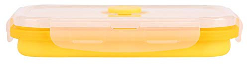 HERCHR Contenitori Pieghevoli in Silicone,Scatole Bento con Coperchi Ermetici Contenitore da Pranzo Bento da 500ml Contenitori Alimentari
