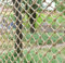 RZM Hemp Rope Cargo Net, Wall Decorative Isolation Hang Cloth Net, Kids Stair Balcony Railings Fence Playground Safety Net, Outdoor Swing Treehouse Plant Climbing Net (Size : 1 * 2m(3 * 7ft))