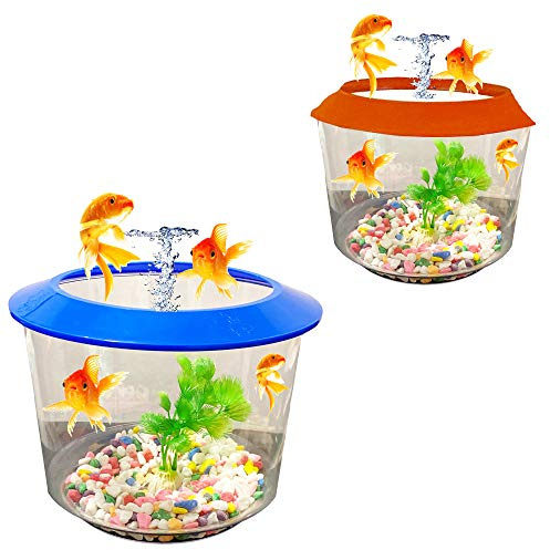 Pet Living Goldfish Bowl Strater Set Gold Fish Bowl with Ornamental Plant Fish Bowl (ORANGE)