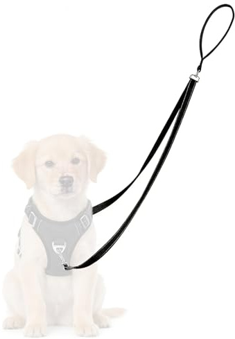 Imbracatura anti-treno per cani con doppio guinzaglio, catarifrangente, anti-tiraggio, per cani di taglia media e grande, colore: nero