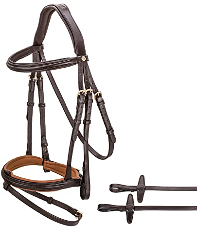 Sunride englisch kombinierte Trense Hawaii mit Zügel, aus weichem Echtleder, farbig unterlegt, verstellbar und anatomisch (Cob, braun/Cognac)