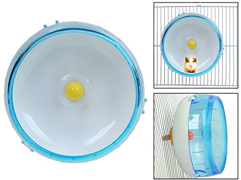 Itian Rueda de ejercicio para hámster - Ideal para hámster, ratones, jerbos u otros animales pequeños (azul)