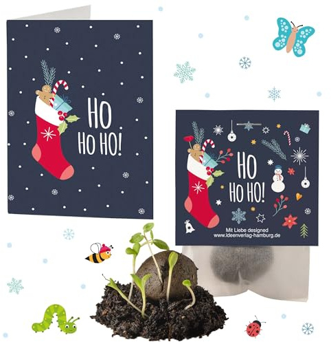 4 bombas de semillas de invierno Ho Ho Ho, incluye tarjeta de felicitación, regalo de Papá Noel, relleno para calendario de Adviento, hecho a mano, fabricado en Alemania, semillas de flores en frío