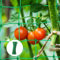 Ranknetz - Vaktop Gurkennetz mit 50 Pflanzenbinder, Rankgitter für Gurken, Pflanzennetz mit großer Maschenweite - Rankhilfe für Gurken, Tomaten, Kletterpflanzen (1.8m x 3.6m)