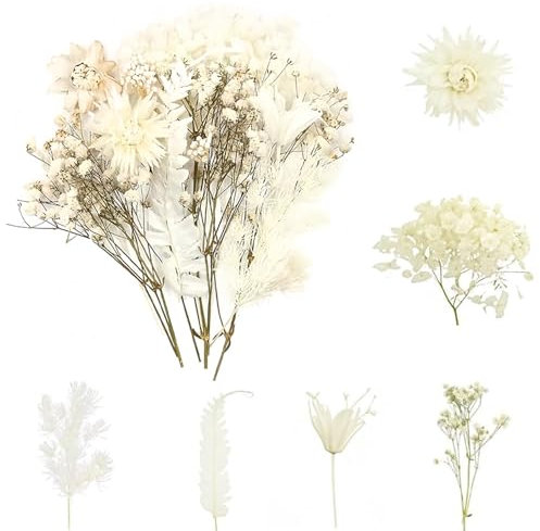 Natural Dried Flower Embodying,Mixed Dry Embodying and Leaf Sets,Leaf Dried Flower Setting Scrapbook DIY Candle Resin Jewelry Crafts