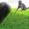 XFLYP Dornengitter Tier-Barriere, 200 * 30cm Katzen-Abwehrstreifen Tier-Barriere Katzenschreck Tierschreck, Anti-Katzen-Netzwerk Graben Stopper Prickle Strip Home Spike Matte mit 8 U-Förmig Erdanker