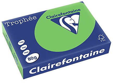 Clairefontaine 1875C – Ries skrivarpapper/kopieringspapper, troféer, intensiva färger, DIN A4, 80 g, 500 ark, mynta, 1 Ries