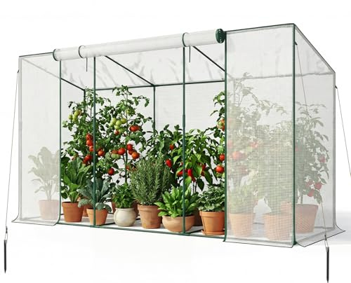 SUNYRISY Invernadero pequeño para tomates (300 x 100 x 170 cm, con techo de tomates, con puerta enrollable y cuerda cortavientos, para balcón, exterior, color blanco)