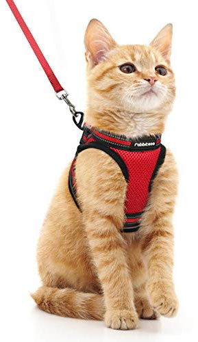 rabbitgoo Arnes Gatos y Correa 150cm Chaleco Ajustable Antitirones Reflectante Cómodo Correa Mágica para Fácil de Poner y Quitar para Paseo Diario Arnes para Perro Pequeño Conejos Gatos M Rojo