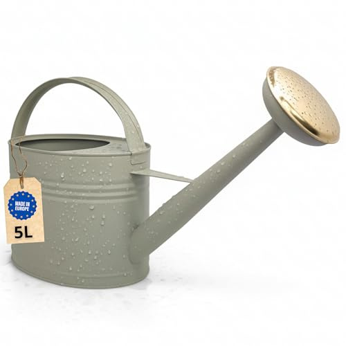LIVLIG Regadera 5 litros Metal – Jardín y Balcón con Alcachofa Desmontable de Latón, Diseño Vintage, Verde