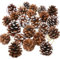 HOWAF 25 Conos de Pino Natural, Conos de Pino de 5 a 6 cm para Manualidades, Conos de Pino con Cuerda para Etiqueta de Regalo, decoración de árbol de Navidad, decoración de guirnaldas de Navidad