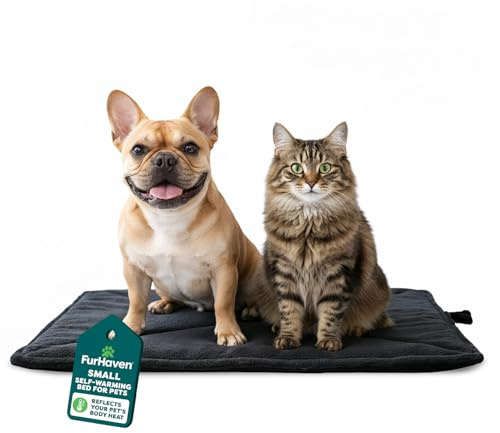 Furhaven Small Cat Bed ThermaNAP Quilted Faux Fur Self-Warming Pad, Washable - Black, Small