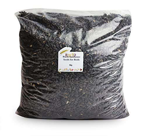 Black Sunflower Seeds for Birds 5kg
