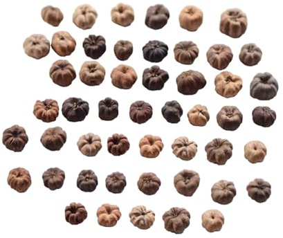 Folpus 50 pezzi Mini baccelli Putka naturale Decorazione Riempitivi per ciotole Zucche in miniatura Riempitivo per vasi Mini baccelli di zucca