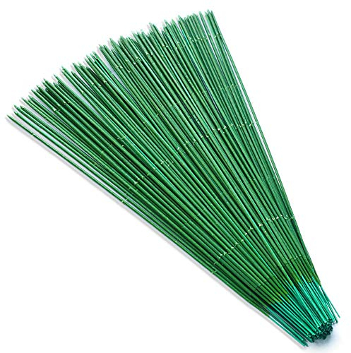100 Stück Drahtstiele für Blumen, 25,4 cm Durchmesser, 18 Gauge dunkelgrün, hochwertiger Blumendraht zum Basteln, Blumenarrangements (25cm)
