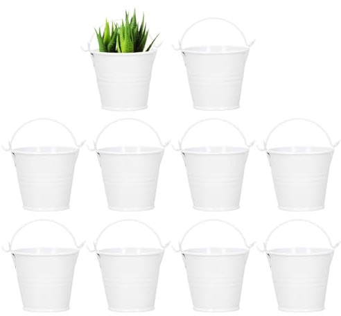 Beufee 10 vasi per piante, vasi da fiori vasi per piante grasse vaso per cactus secchio in metallo fioriera vintage vaso per piante moderno vasi per piantare piccoli vasi per piante da (4 * 5.5 * 6)