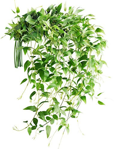 FiveSeasonStuff Artificial Hanging Clematis Silk Leaves for Trellis Fence Gazebo Baskets, 10 Vine Plant Garlands, for Autumn Fall Spring Summer (8.6 metre Total Length)