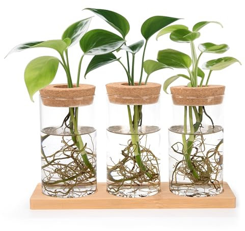 Yesaler Stations de Propagation de Plantes Vases Hydroponiques avec Socle et Bouchons en Bois pour pour Plantes Aquatiques ou Fleurs 3 Pièces